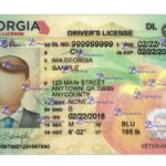 Georgia Drivers License Template (Front & Back) V1 - PSDMarket.in