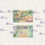 Georgia Drivers License Template (scan) V1 - PSDMarket.in