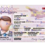 Georgia ID Card Template (Front & Back) - PSDMarket.in