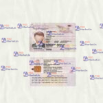 Georgia ID Card Template (scan) - PSDMarket.in