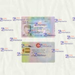 Hong Kong ID Card Template (scan) - PSDMarket.in