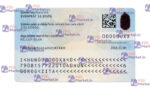 Hungary ID Card Template (Front & Back) - PSDMarket.in