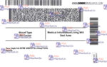 Illinois Drivers License Template V1 - PSDMarket.in