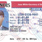 Illinois Drivers License Template V1 - PSDMarket.in