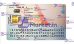 Spain ID Card Template (Front & Back) V1 - Back - PSDMarket.in