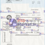 Florida water utility bill - PSDMarket.in