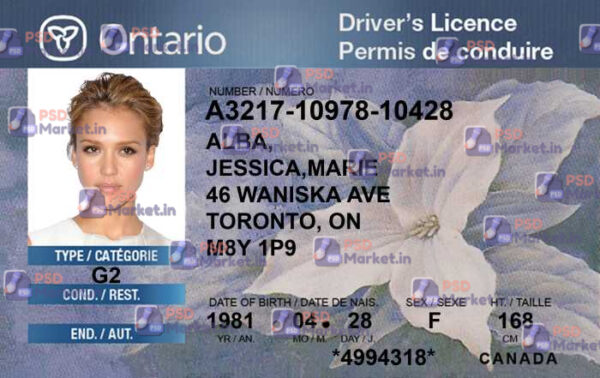 Canada Ontario Drivers License Template - Globalpsdtemplate